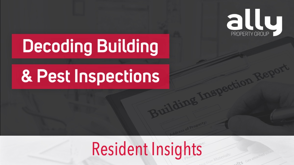 Decoding Building & Best Inspections - Ally Property Group - Australian Property Investment Advisers